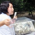 奈良公園をきれいにしよう090801「愛護会さんによる、鹿とーく」