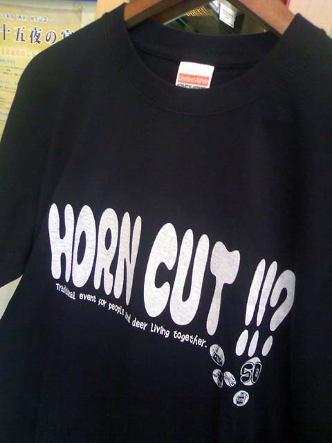 TS3I0525