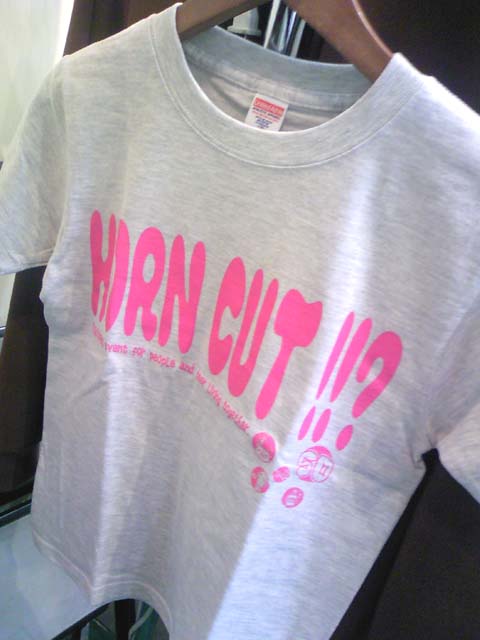 TS3I0527